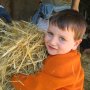 Will with Hay